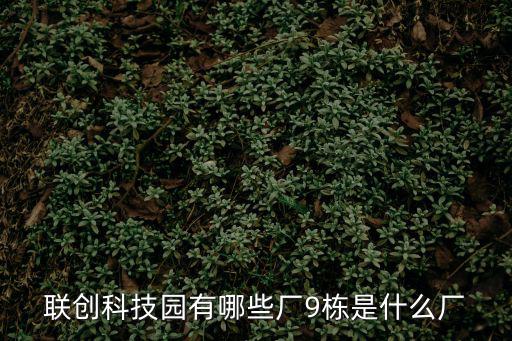 聯創科技園有哪些廠9棟是什么廠
