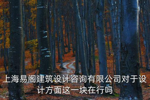上海易閣建筑設(shè)計咨詢有限公司對于設(shè)計方面這一塊在行嗎