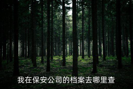 我在保安公司的檔案去哪里查