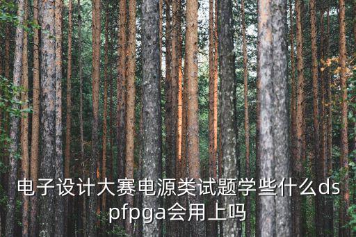 電子設計大賽電源類試題學些什么dspfpga會用上嗎