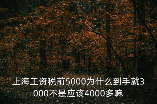 上海市稅后5000工資多少，5000工資稅后多少錢