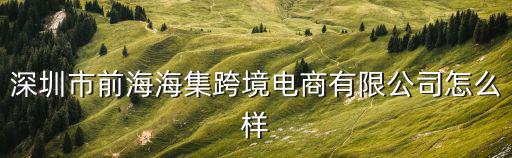 深圳市前海海集跨境電商有限公司怎么樣