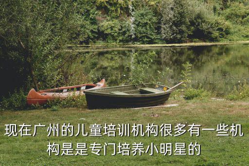 現在廣州的兒童培訓機構很多有一些機構是是專門培養小明星的