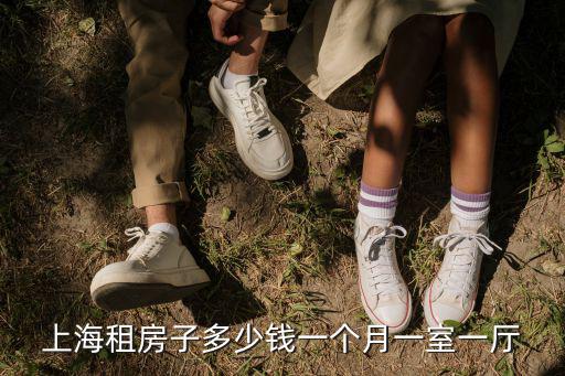 上海租房子多少錢一個月一室一廳