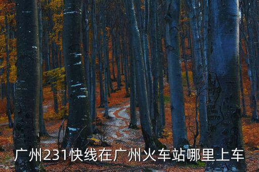 廣州231快線在廣州火車站哪里上車