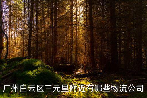 廣州白云區三元里附近有哪些物流公司