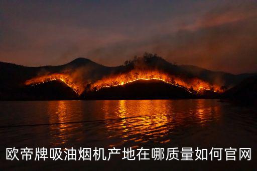 歐帝牌吸油煙機產地在哪質量如何官網