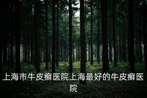 上海市牛皮癬醫院上海最好的牛皮癬醫院