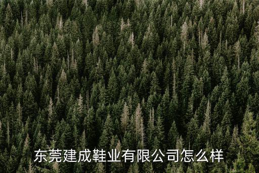 東莞建成鞋業有限公司怎么樣