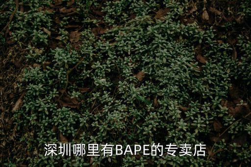 深圳歐帝富，深圳市寶安區恒豐工業城C5棟3樓是什么公司