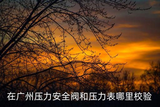 在廣州壓力安全閥和壓力表哪里校驗