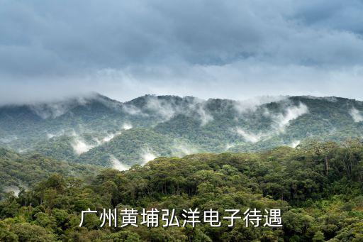 廣州黃埔弘洋電子待遇