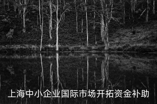 上海中小企業國際市場開拓資金補助