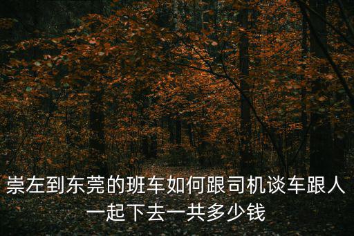 崇左到東莞的班車如何跟司機談車跟人一起下去一共多少錢