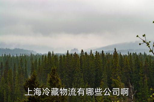 上海市奉賢區冷鏈物流，ji上海奉賢地區有哪些物流公司