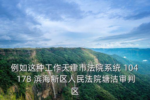 例如這種工作天津市法院系統 104 178 濱海新區人民法院塘沽審判區