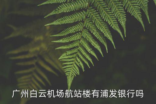 廣州白云機(jī)場(chǎng)航站樓有浦發(fā)銀行嗎