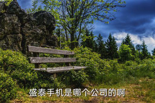 深圳市系致通訊技術(shù)有限公司，盛泰手機是哪個公司的啊