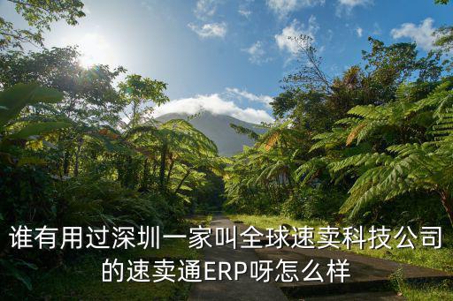 誰有用過深圳一家叫全球速賣科技公司的速賣通ERP呀怎么樣