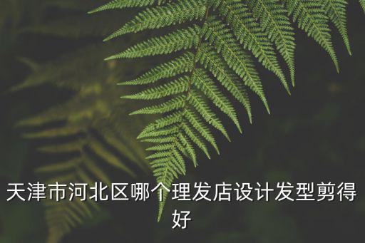 天津市河北區哪個理發店設計發型剪得好
