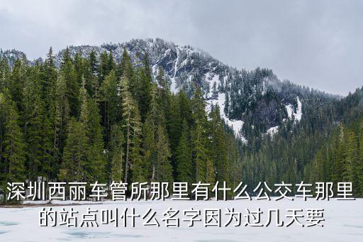 深圳西麗車管所那里有什么公交車那里的站點(diǎn)叫什么名字因?yàn)檫^幾天要
