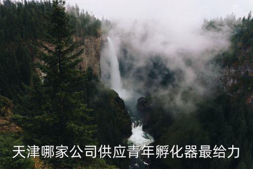 天津市雅安企業孵化器有限公司，天津哪家公司供應青年孵化器最給力