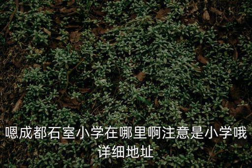 嗯成都石室小學(xué)在哪里啊注意是小學(xué)哦詳細(xì)地址