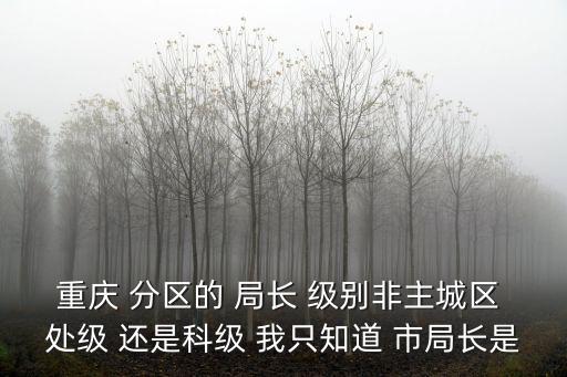 重慶市南岸區城市管理局局長，重慶 分區的 局長 級別非主城區 處級 還是科級 我只知道 市局長是