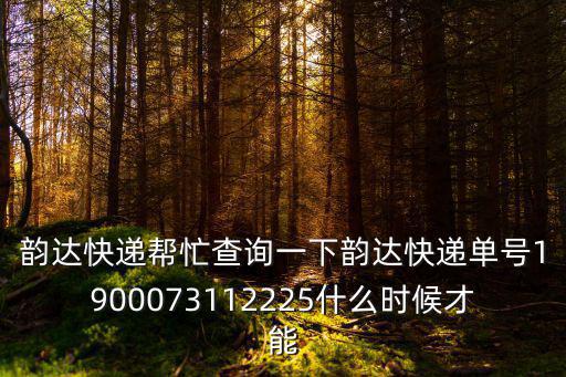 韻達快遞幫忙查詢一下韻達快遞單號1900073112225什么時候才能
