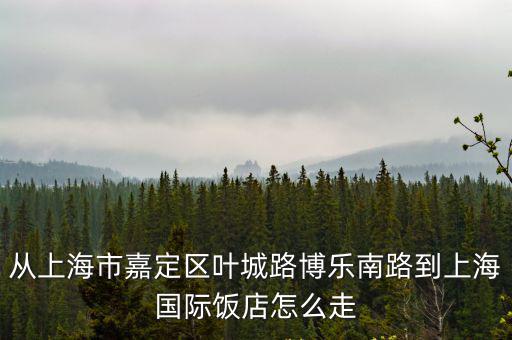 從上海市嘉定區葉城路博樂南路到上海國際飯店怎么走