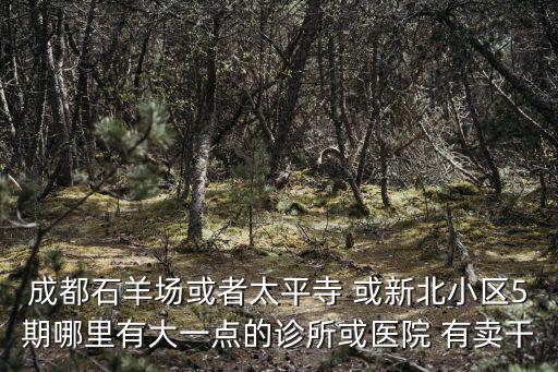成都石羊場或者太平寺 或新北小區5期哪里有大一點的診所或醫院 有賣干