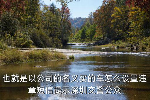 也就是以公司的名義買的車怎么設置違章短信提示深圳交警公眾