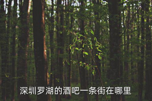 深圳羅湖的酒吧一條街在哪里