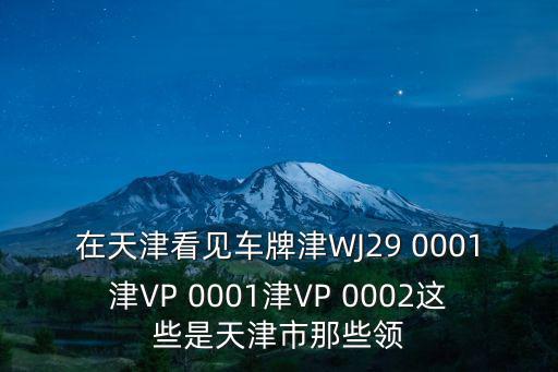 在天津看見車牌津WJ29 0001津VP 0001津VP 0002這些是天津市那些領