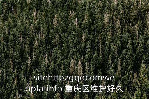 sitehttpzgqqcomwebplatinfo 重慶區(qū)維護好久