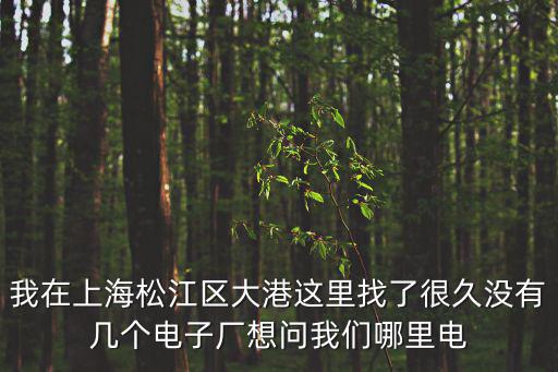 我在上海松江區大港這里找了很久沒有幾個電子廠想問我們哪里電