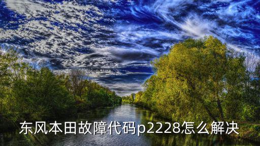 廣州本田 P2185，本田凌派報p2185怎么解決