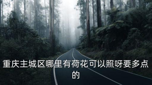 重慶主城區哪里有荷花可以照呀要多點的