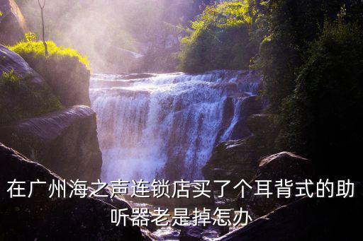 在廣州海之聲連鎖店買了個耳背式的助聽器老是掉怎辦