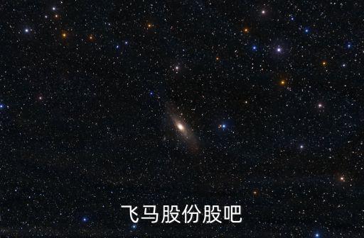 飛馬股份股吧