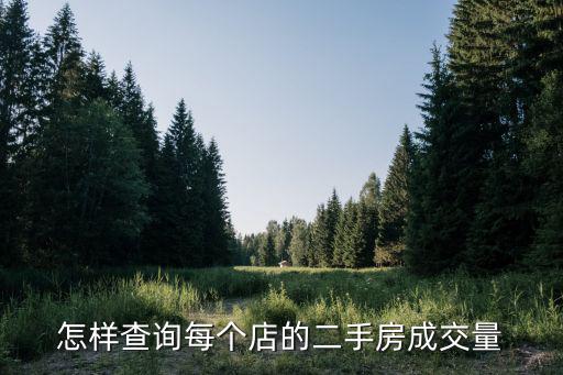 怎樣查詢每個店的二手房成交量