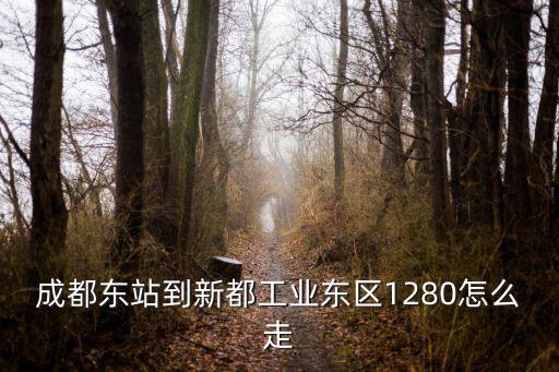 成都東站到新都工業東區1280怎么走