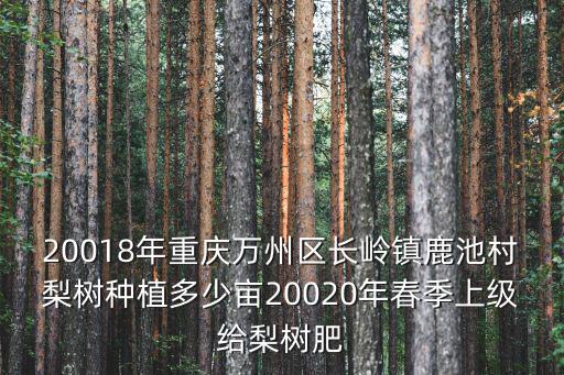 重慶市梨樹栽培面積 萬畝，20018年重慶萬州區(qū)長嶺鎮(zhèn)鹿池村梨樹種植多少畝20020年春季上級給梨樹肥