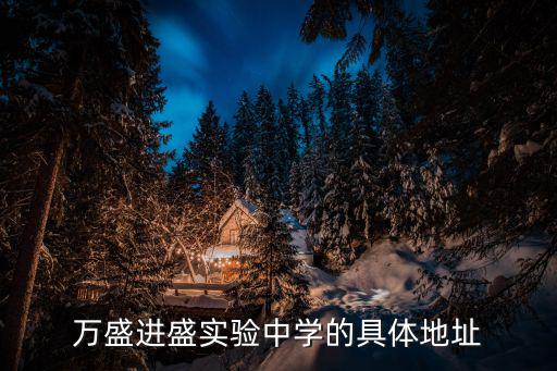 重慶市進盛實驗中學郵編，萬盛進盛實驗中學的具體地址