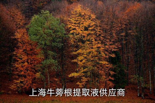 上海牛蒡根提取液供應(yīng)商