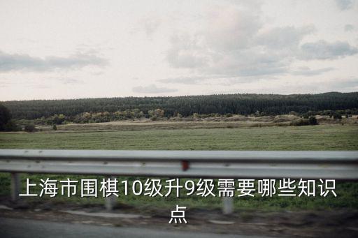 上海市圍棋10級升9級需要哪些知識點