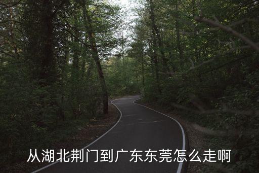 從湖北荊門到廣東東莞怎么走啊
