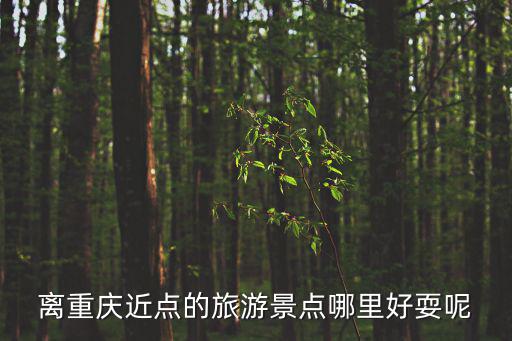 離重慶近點的旅游景點哪里好耍呢