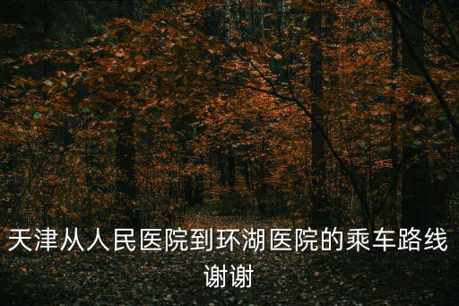 天津從人民醫院到環湖醫院的乘車路線謝謝
