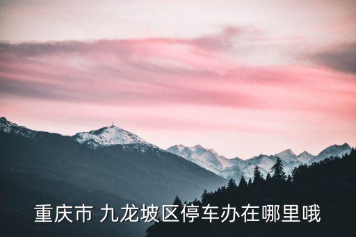 重慶市 九龍坡區(qū)停車辦在哪里哦